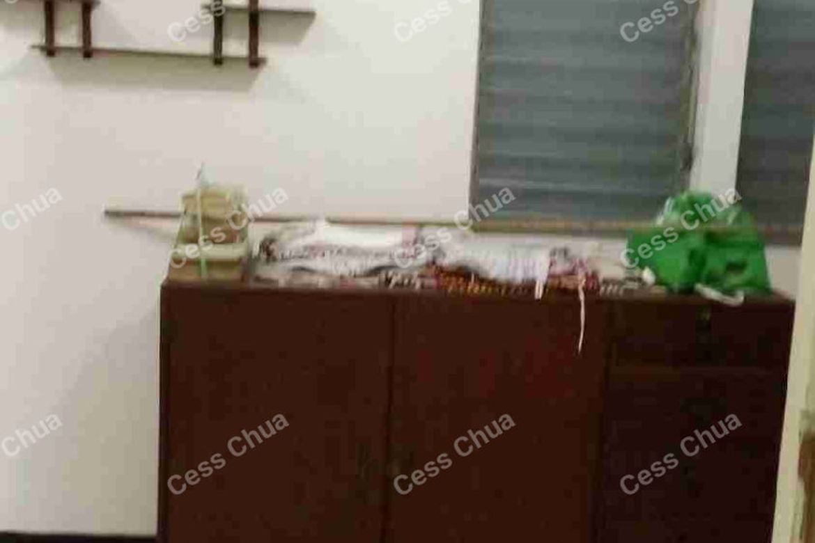 3 Bedroom House for Sale in Pamplona Dos, Las Piñas, Metro Manila – photo 2
