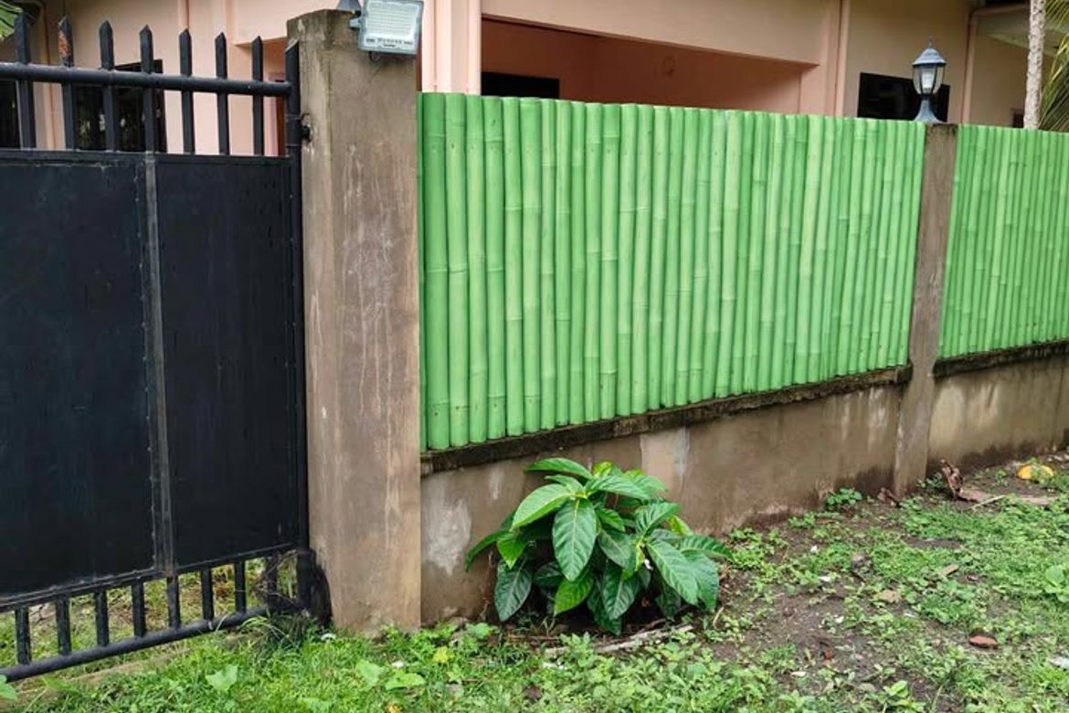 3 Bedroom House for Sale in Poblacion, Zamboanguita, Negros Oriental – photo 5
