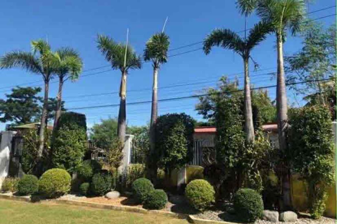 3 Bedroom House for Sale in San Jose, Tarlac, Tarlac – photo 8