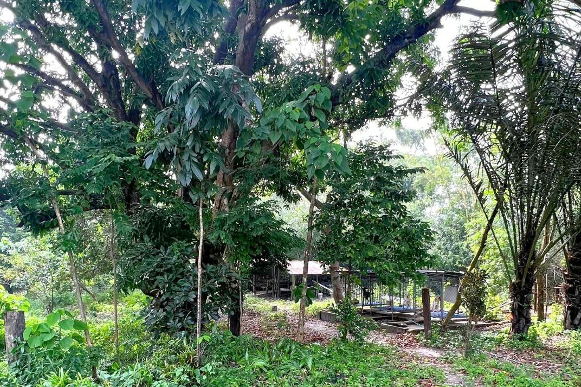 3 Bedroom House for Sale in San Miguel, San Antonio, Zambales – photo 6