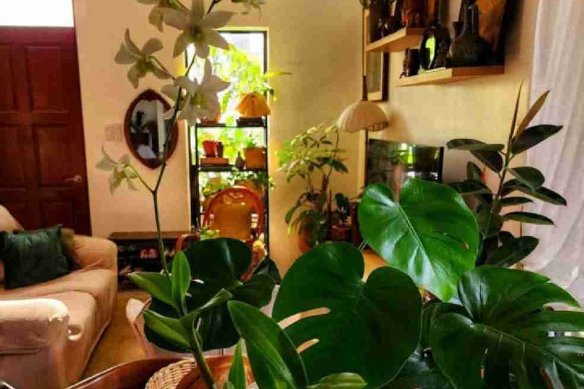 3 Bedroom House for Sale in Tisa, Cebu City, Cebu – photo 5
