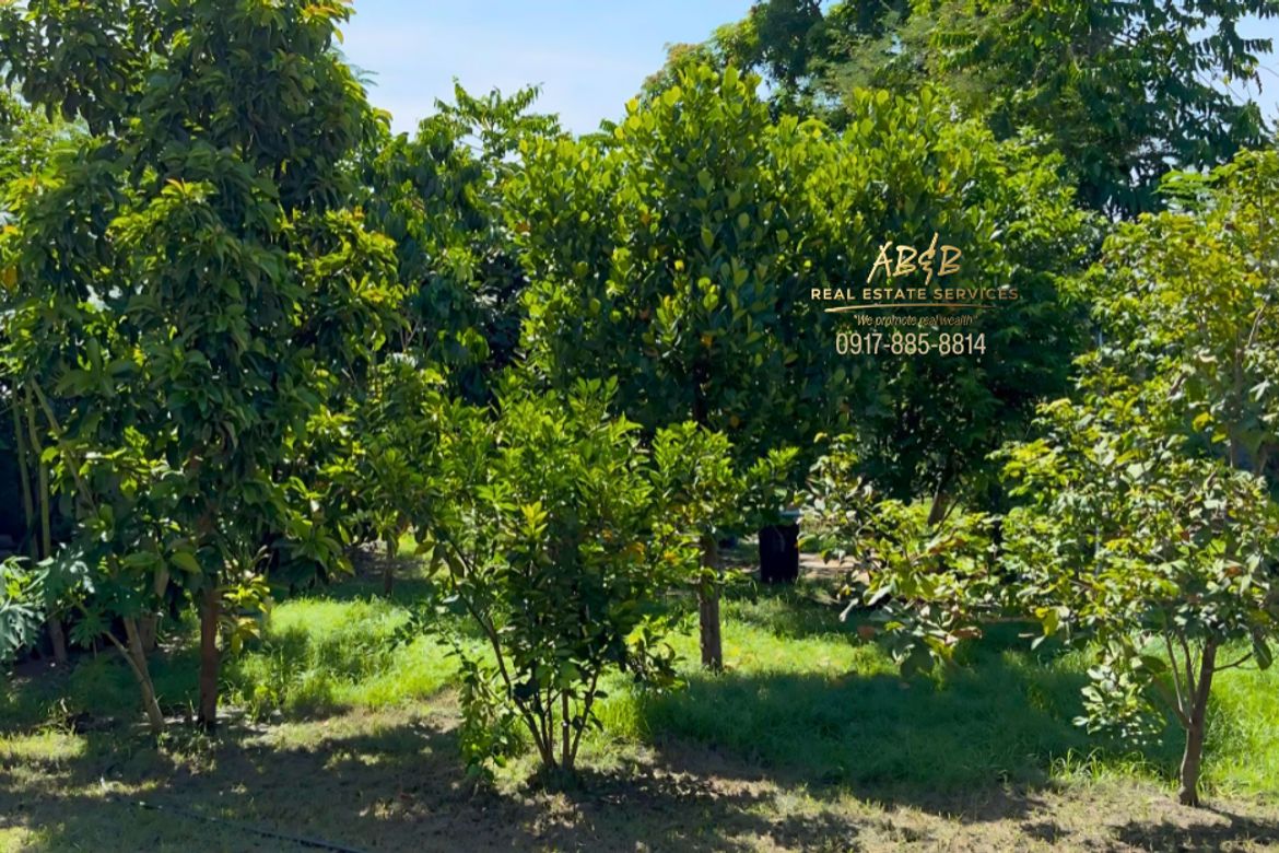 3 Bedroom House for Sale in Zone IV, Villasis, Pangasinan – photo 4