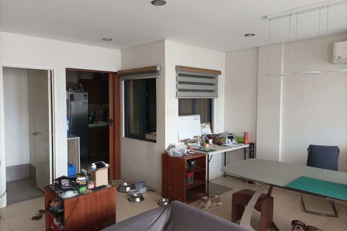 3 Bedroom Townhouse for Sale in Plainview, Mandaluyong, Metro Manila – photo 2