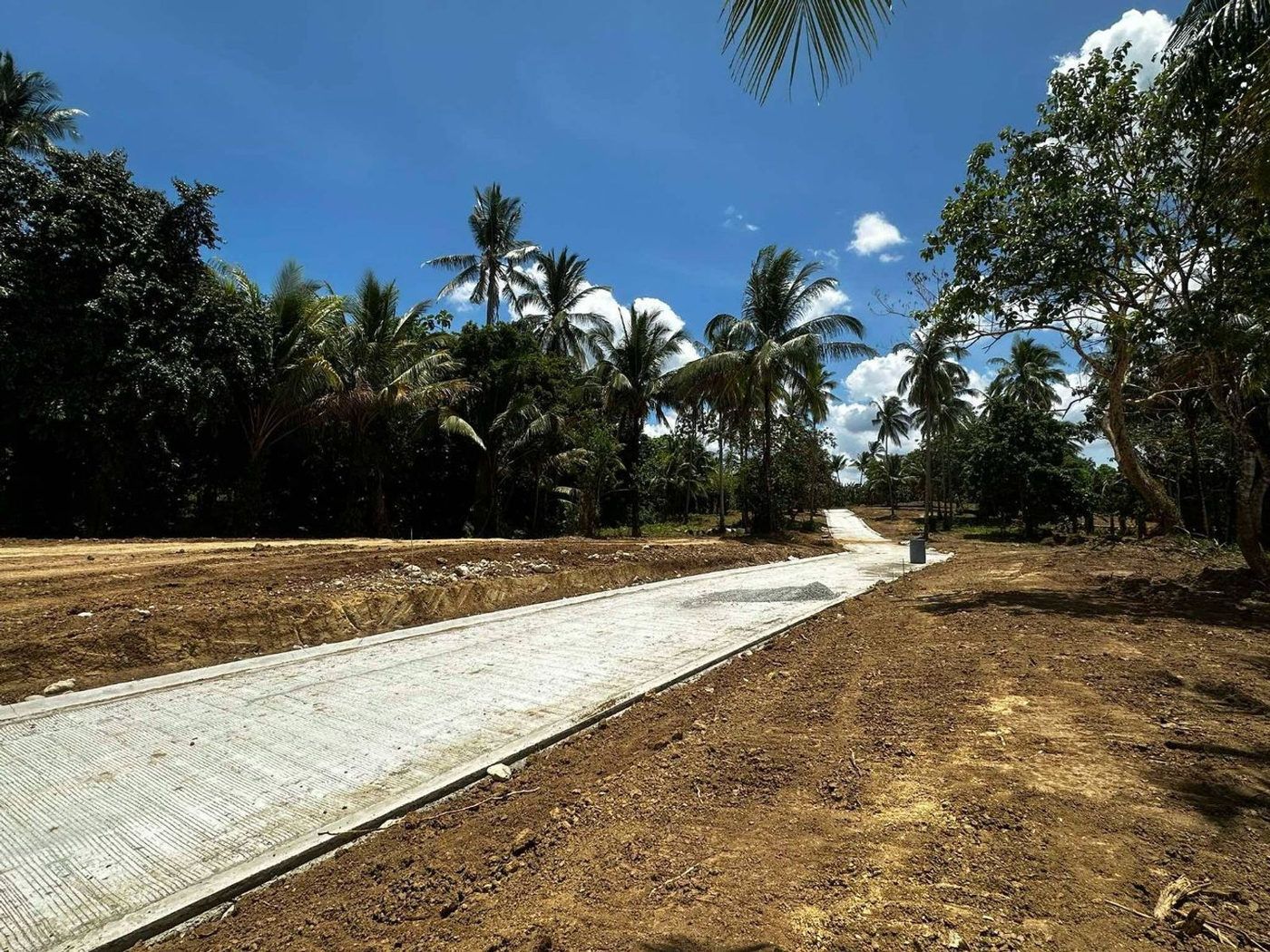 300 SQM Farm-Residential Lot for Sale in Alex Riverside Hills, General Emilio Aguinaldo, Cavite – photo 6