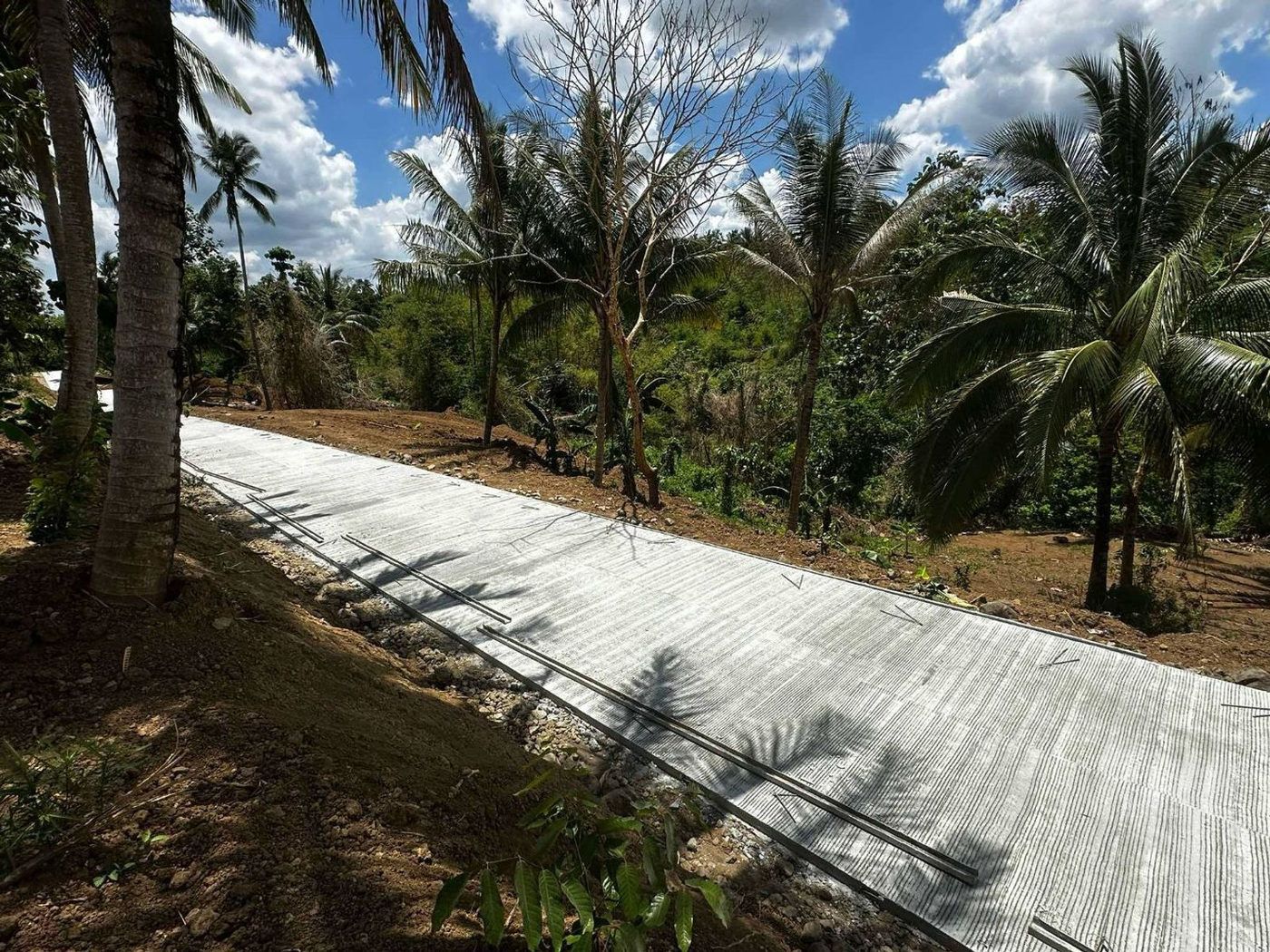 300 SQM Farm-Residential Lot for Sale in Alex Riverside Hills, General Emilio Aguinaldo, Cavite – photo 12