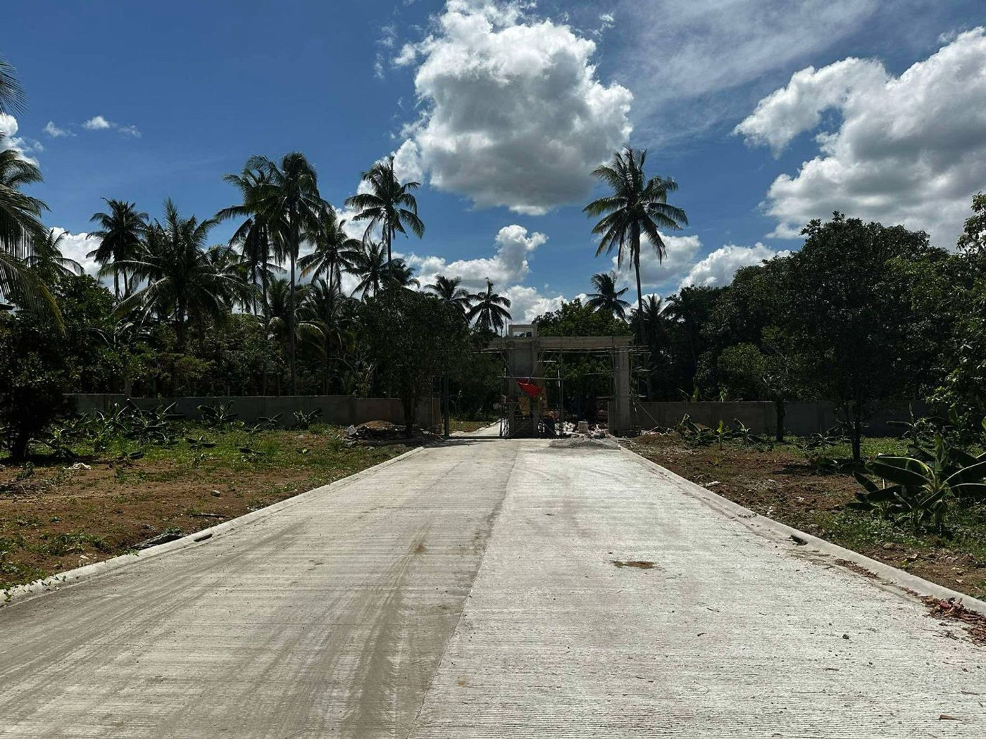 300 SQM Farm-Residential Lot for Sale in Alex Riverside Hills, General Emilio Aguinaldo, Cavite – photo 16