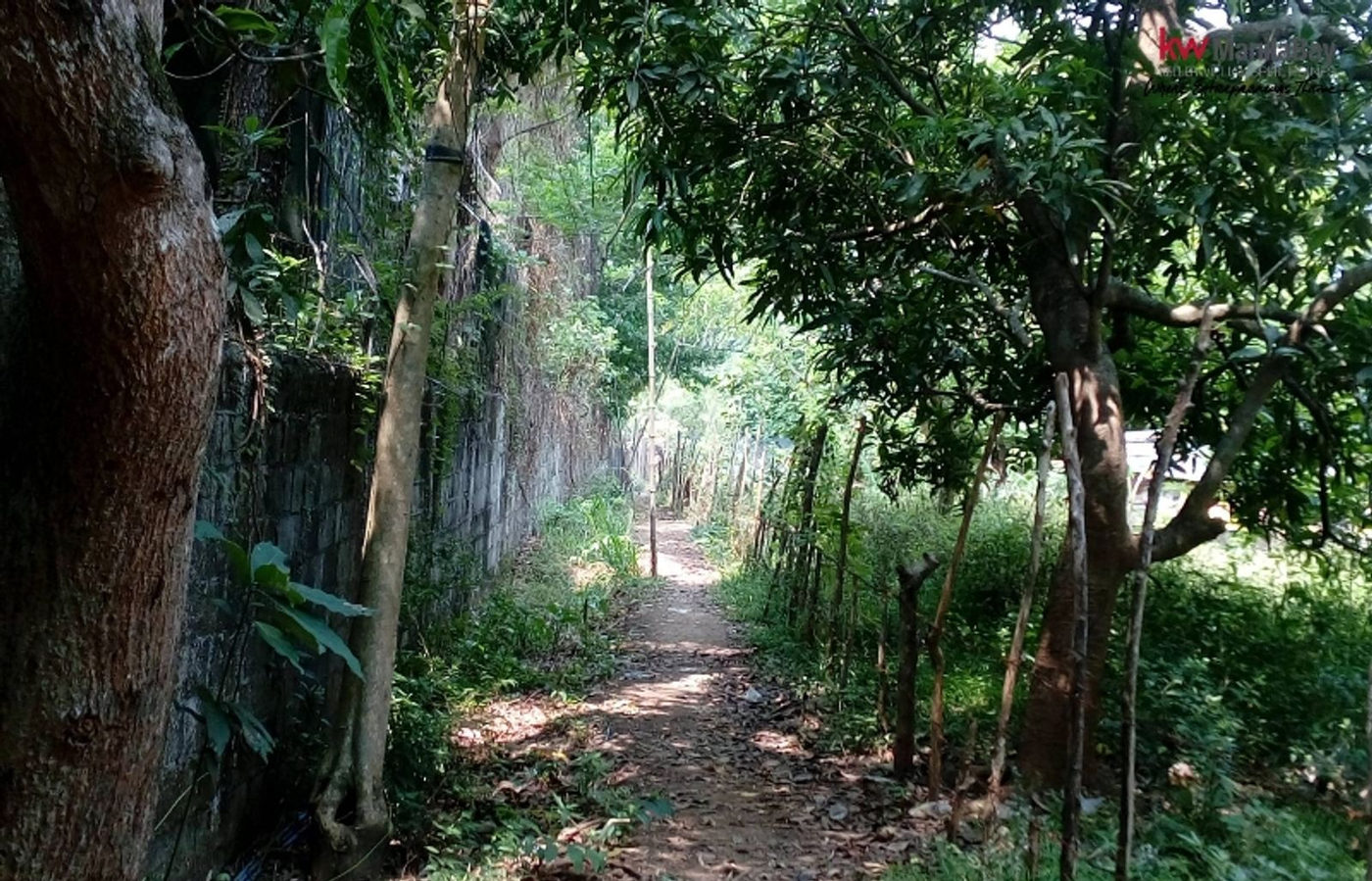 4,000 SQM Residential Farm Lot for Sale in Lagundi, Morong, Rizal – photo 6