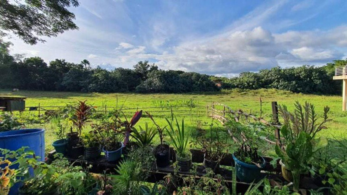 4.5-Hectare Eco-Farm Tourism Property for Sale in Teresa, Rizal