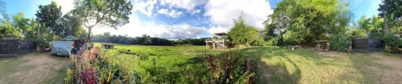 4.5-Hectare Eco-Farm Tourism Property for Sale in Teresa, Rizal – photo 3