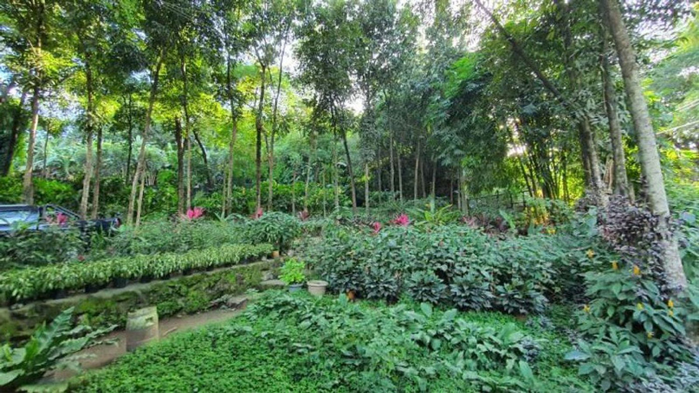 4.5-Hectare Eco-Farm Tourism Property for Sale in Teresa, Rizal – photo 13