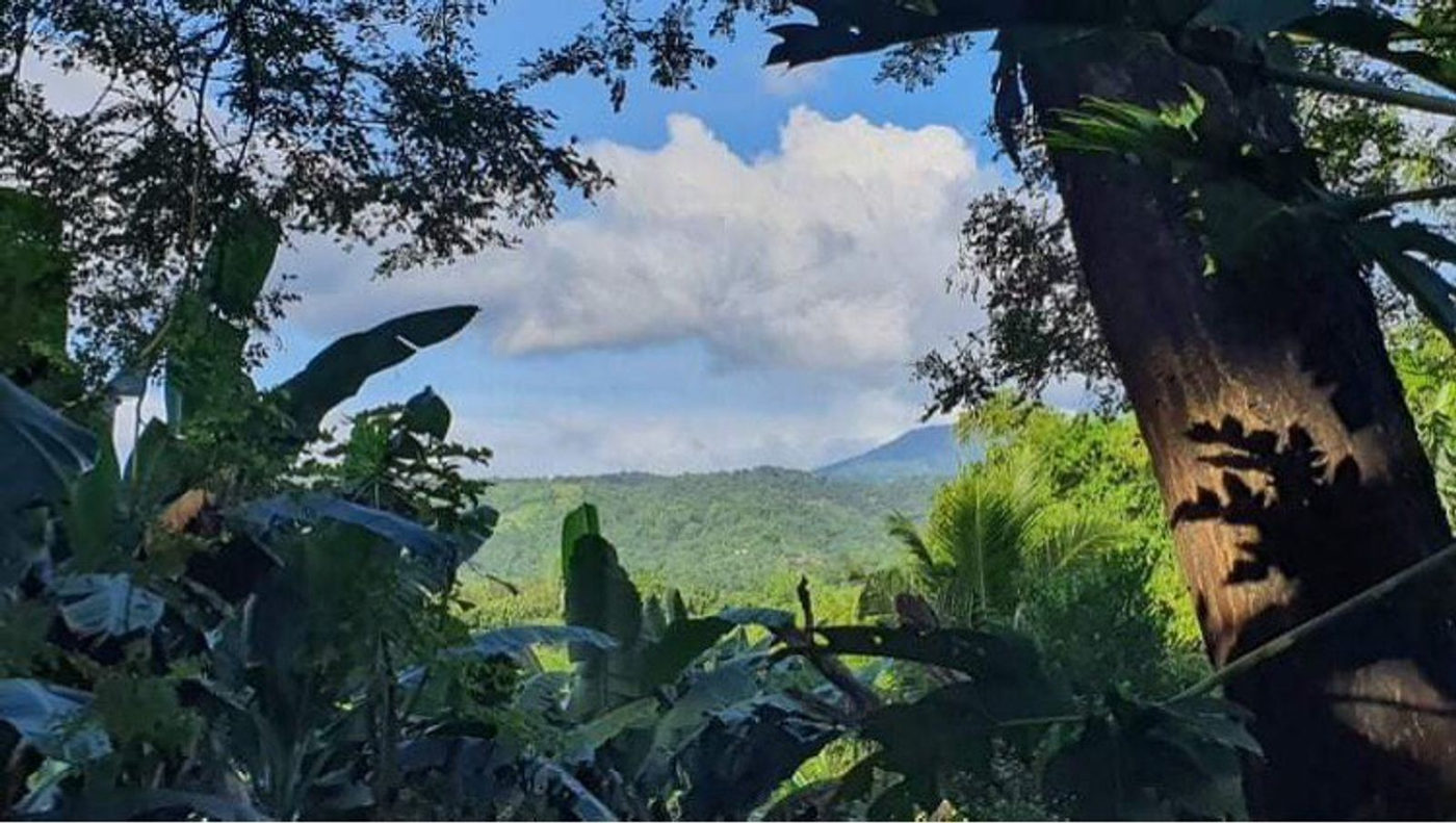 4.5-Hectare Eco-Farm Tourism Property for Sale in Teresa, Rizal – photo 14