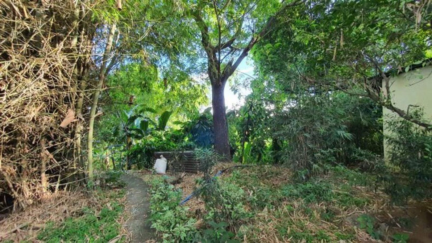 4.5-Hectare Eco-Farm Tourism Property for Sale in Teresa, Rizal – photo 26