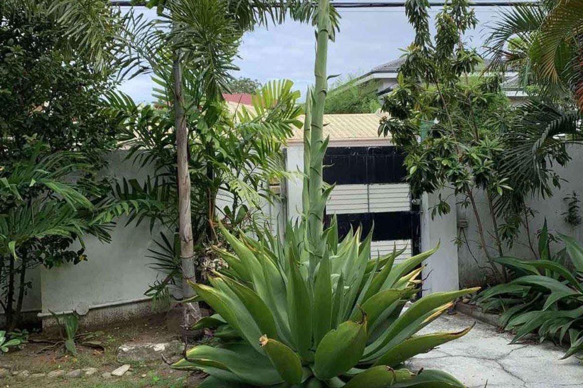4 Bedroom House for Sale in Cupang, Muntinlupa, Metro Manila – photo 2
