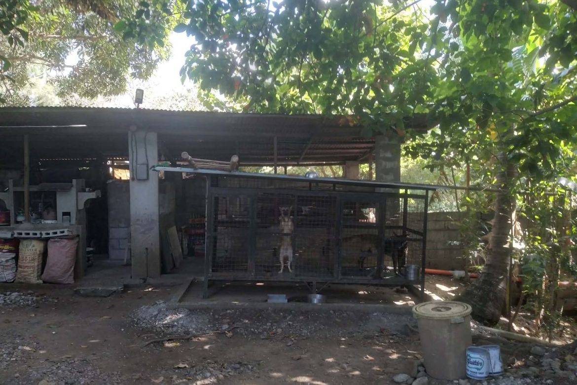 4 Bedroom House for Sale in Malibong Bata, Pandi, Bulacan – photo 5