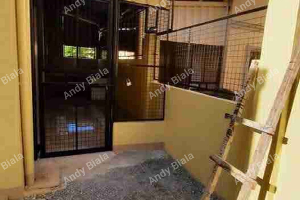 4 Bedroom House for Sale in Minien West, Santa Barbara, Pangasinan – photo 3
