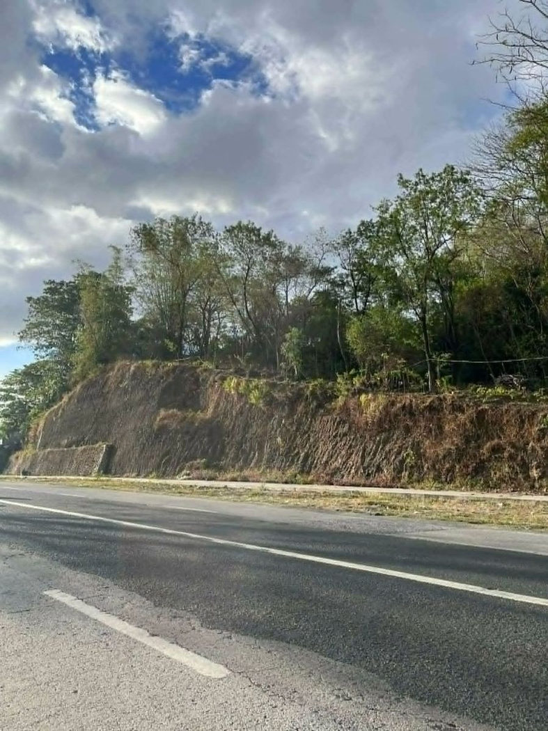 4,418 SQM Commercial Corner Lot for Sale along Manila East Road, San Juan, Baras, Rizal – photo 2