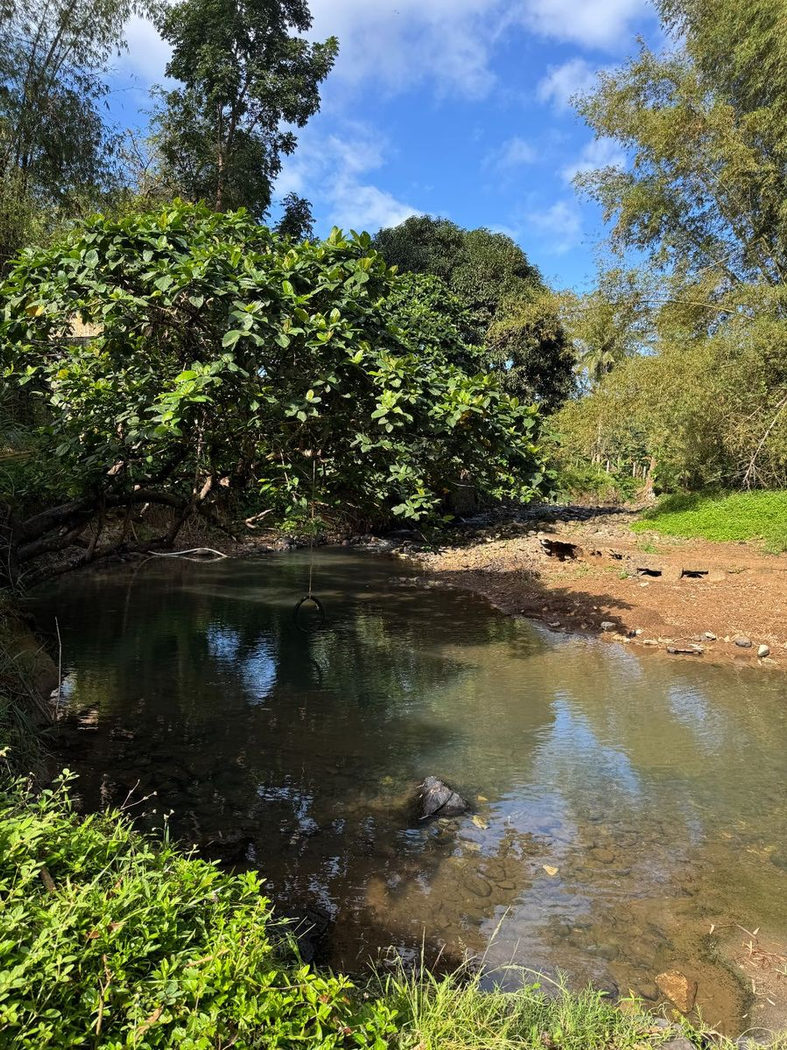 45.7-Hectare Titled Farmland with River for Sale in Sampaloc, Tanay, Rizal – photo 6