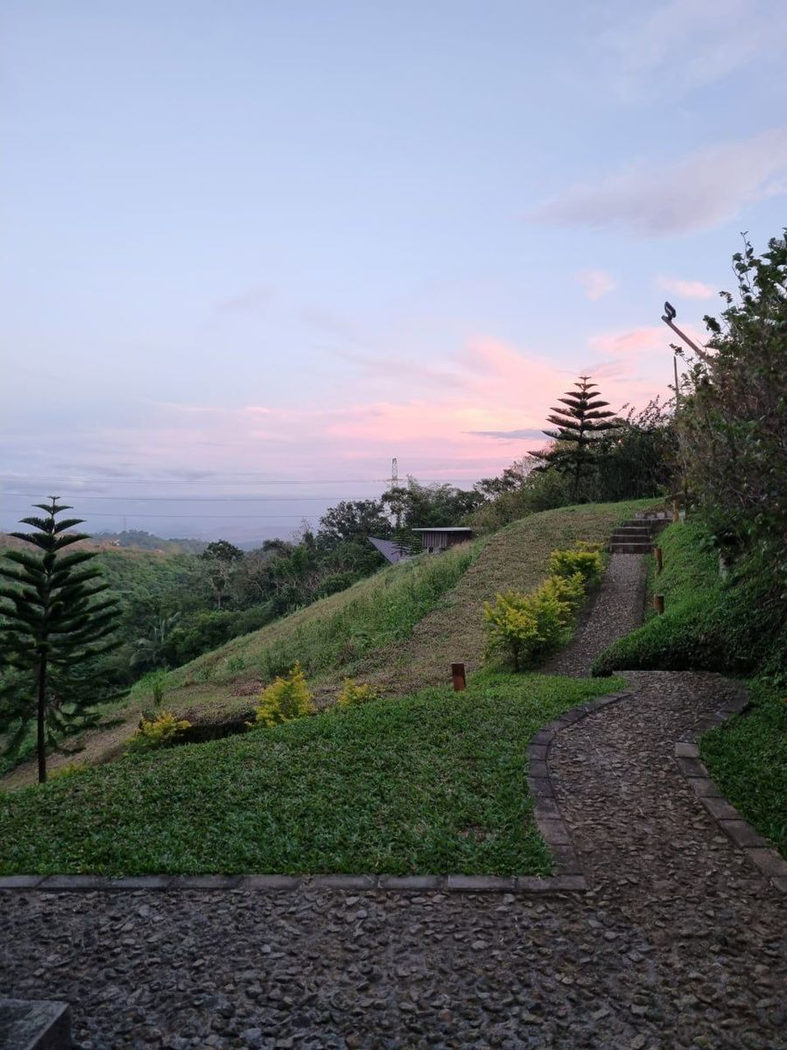 5,164 SQM Farm Villa Property with Pool for Sale in Mayasang, Lemery, Batangas – photo 4