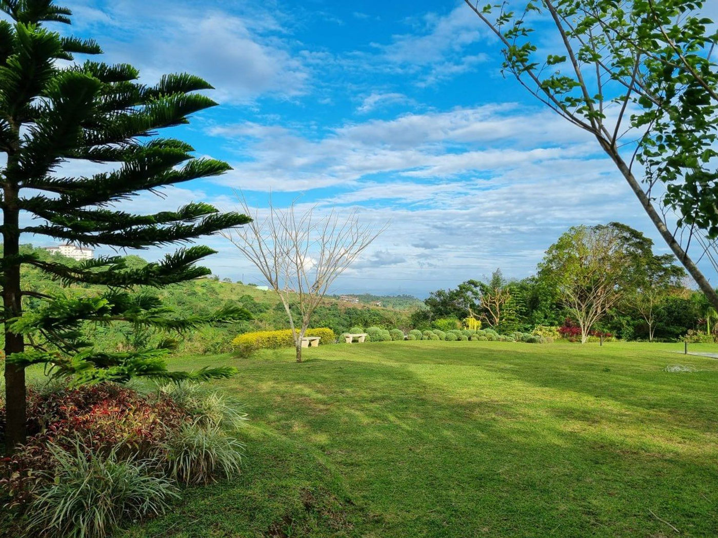 5,164 SQM Farm Villa Property with Pool for Sale in Mayasang, Lemery, Batangas – photo 7