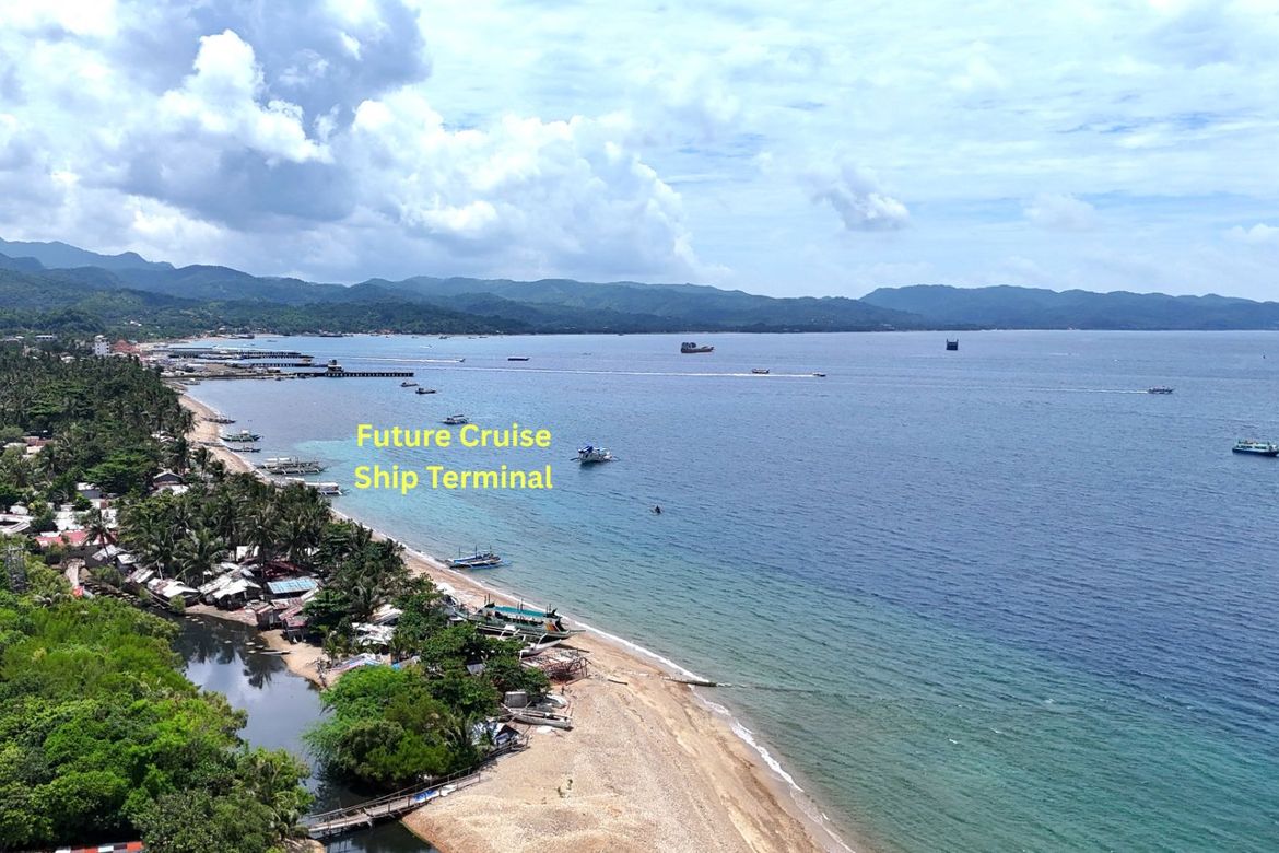 5 Bedroom House for Sale in Caticlan, Malay, Aklan – photo 2