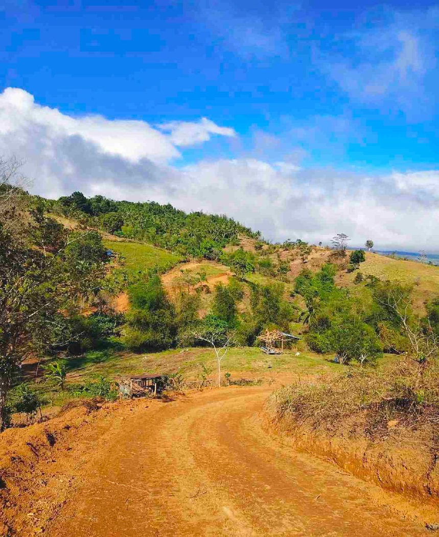 500 SQM Titled Farm Lot for Sale in Sampaloc, Tanay, Rizal – photo 3
