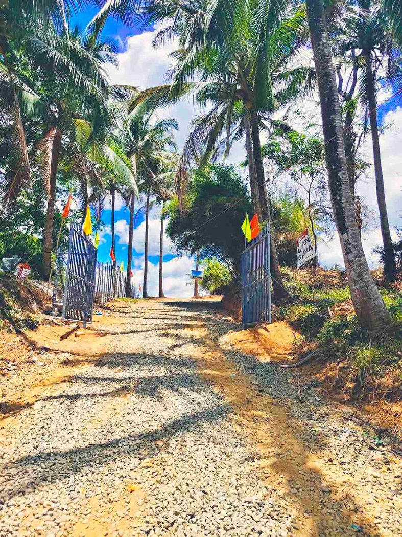 500 SQM Titled Farm Lot for Sale in Sampaloc, Tanay, Rizal – photo 4