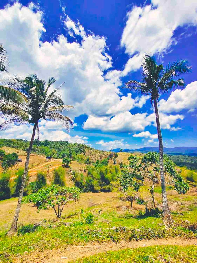 500 SQM Titled Farm Lot for Sale in Sampaloc, Tanay, Rizal – photo 5