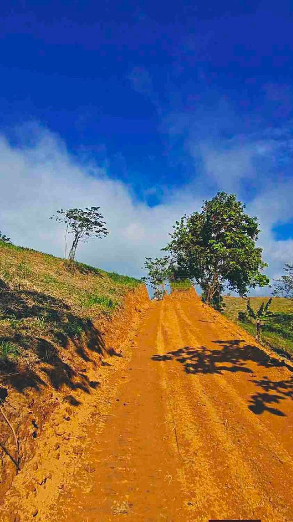 500 SQM Titled Farm Lot for Sale in Sampaloc, Tanay, Rizal – photo 11