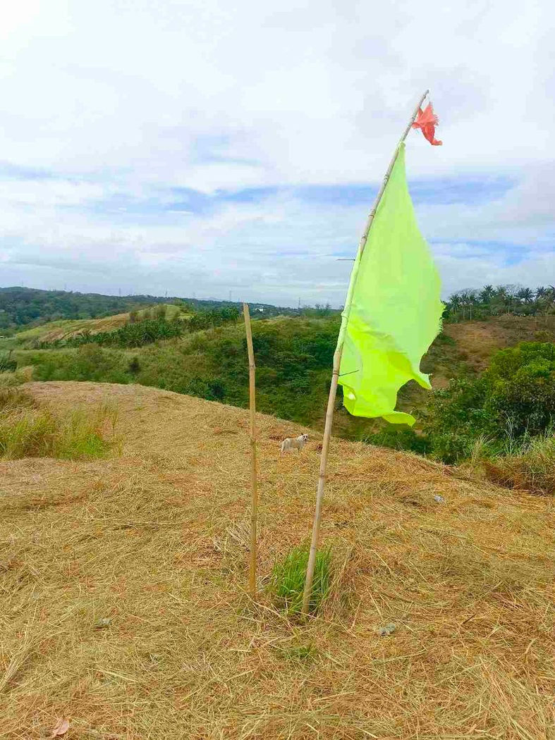 500 SQM Titled Farm Lot for Sale in Sampaloc, Tanay, Rizal – photo 12