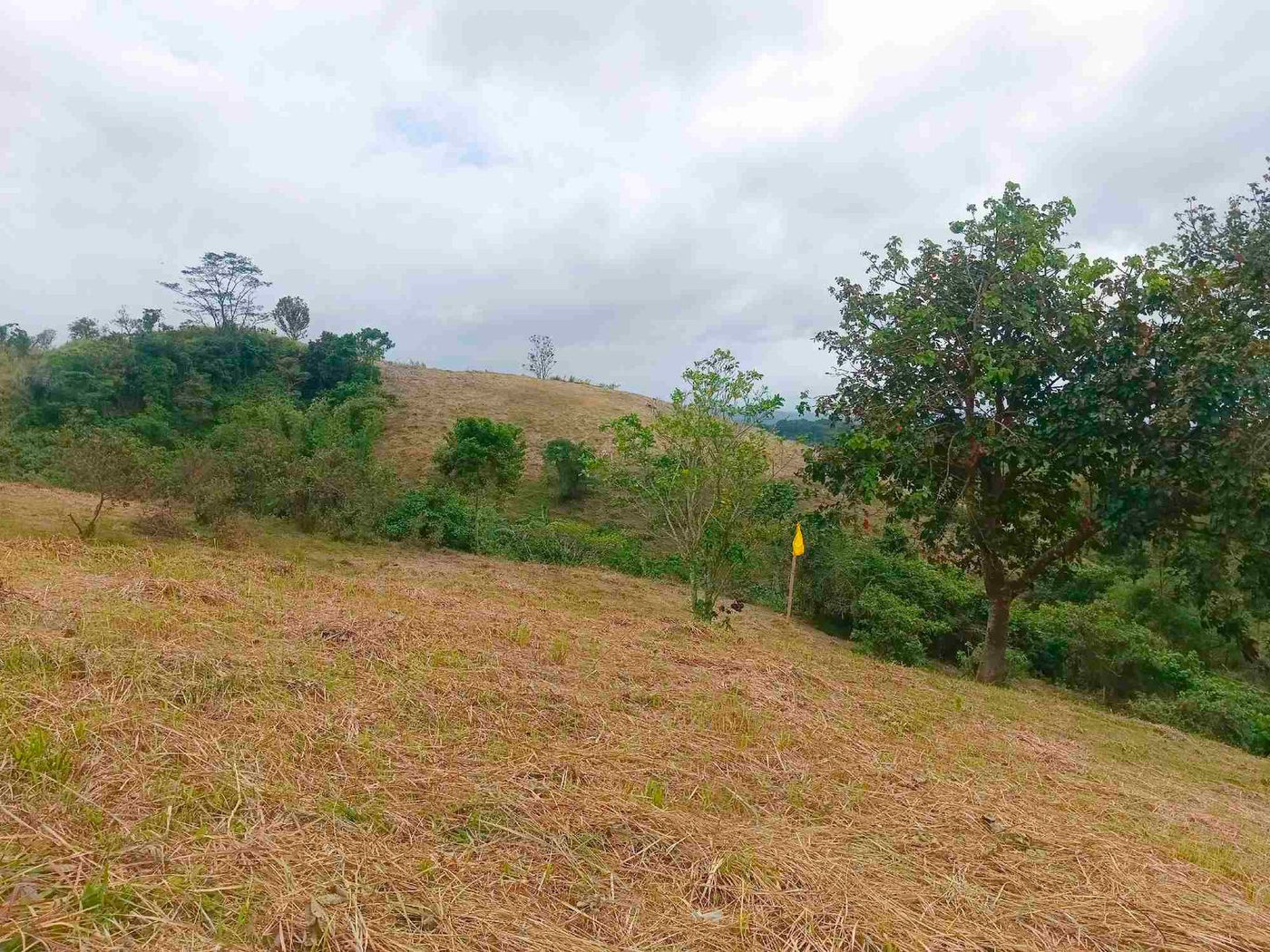 500 SQM Titled Farm Lot for Sale in Sampaloc, Tanay, Rizal – photo 21