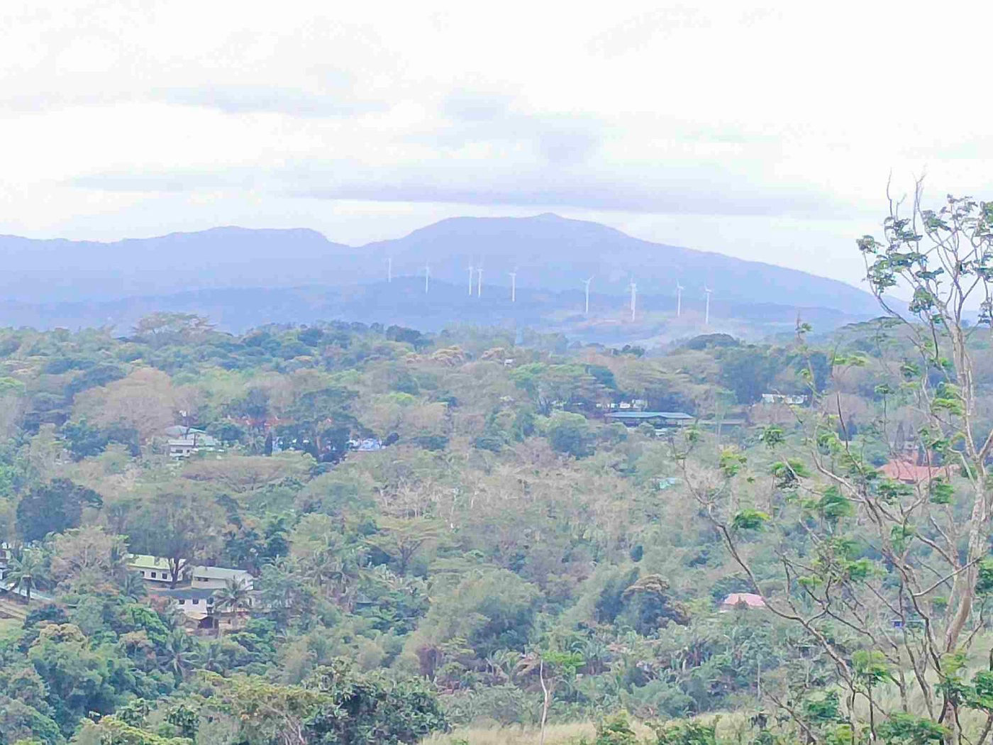 500 SQM Titled Farm Lot for Sale in Sampaloc, Tanay, Rizal – photo 23
