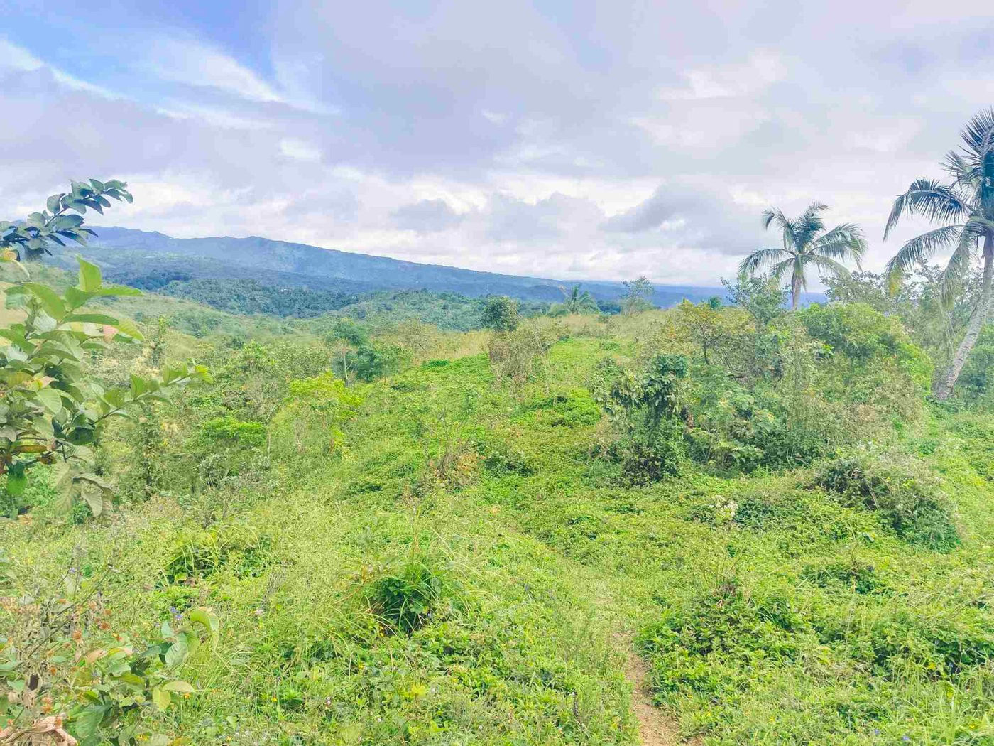 500 SQM Titled Farm Lot for Sale in Sampaloc, Tanay, Rizal – photo 24
