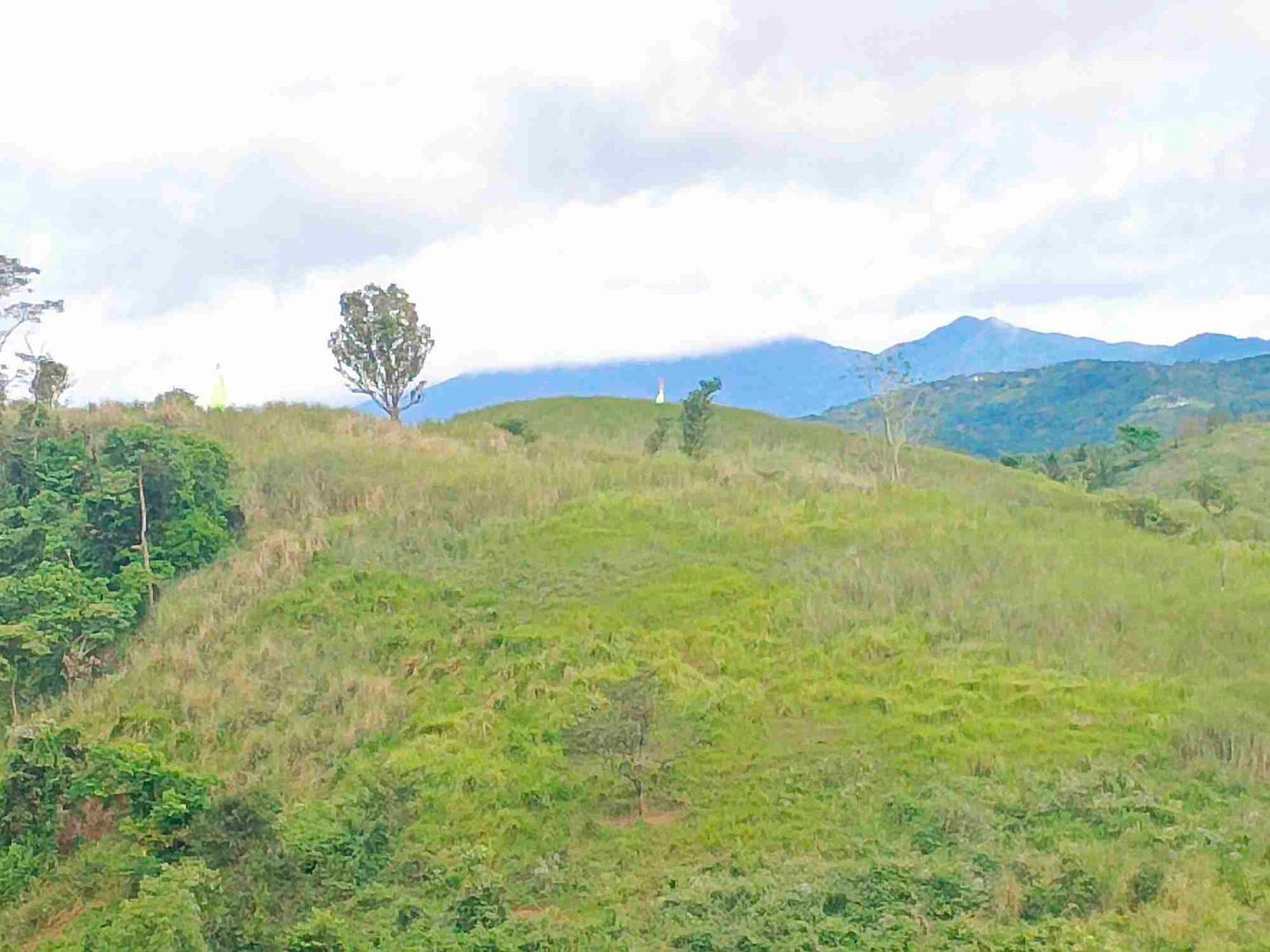 500 SQM Titled Farm Lot for Sale in Sampaloc, Tanay, Rizal – photo 25