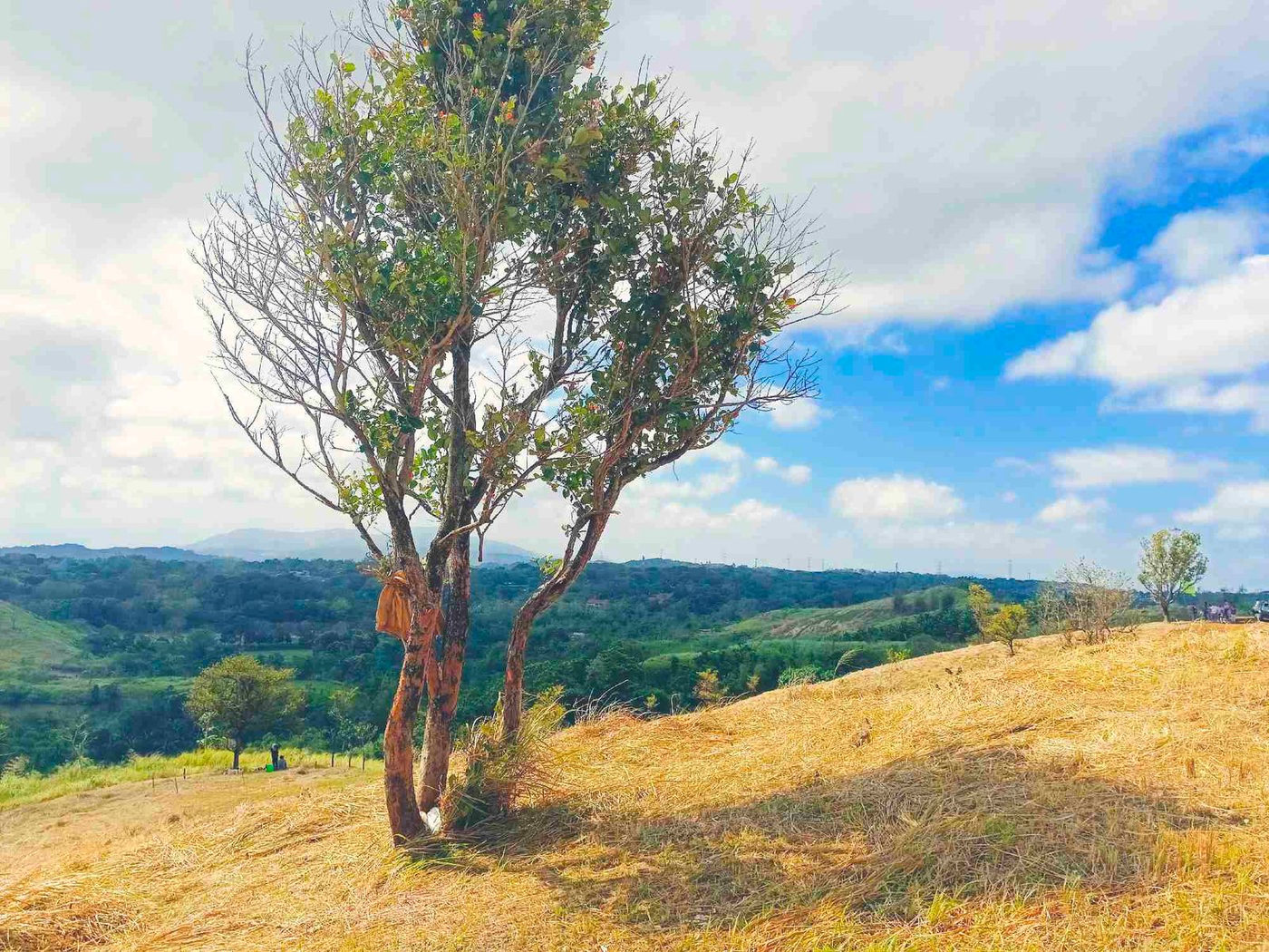 500 SQM Titled Farm Lot for Sale in Sampaloc, Tanay, Rizal – photo 27
