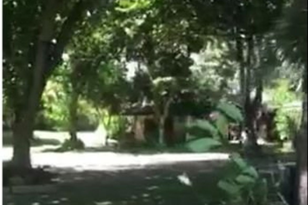 6 Bedroom Commercial for Sale in Catarman, Liloan, Cebu – photo 5