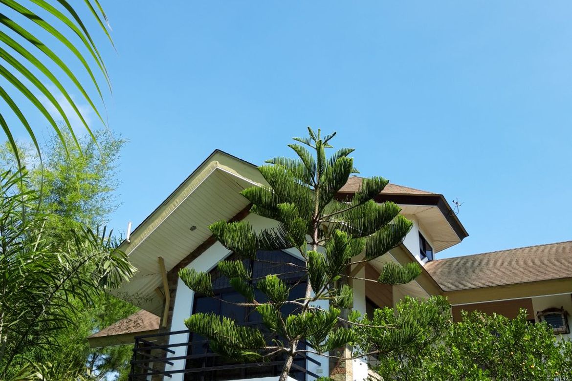 6 Bedroom House for Sale in Cuevas, Trento, Agusan del Sur – photo 2