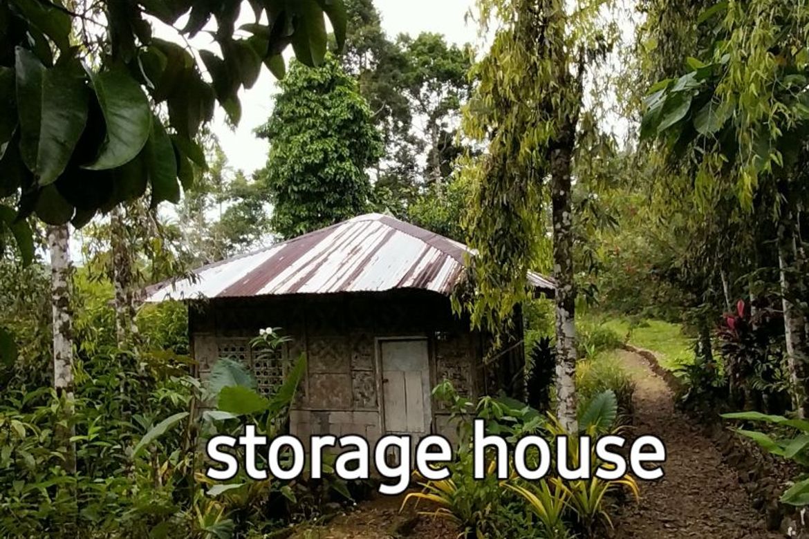 6 Bedroom House for Sale in Cuevas, Trento, Agusan del Sur – photo 8
