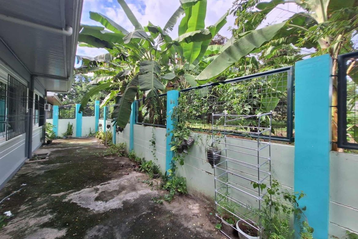 6 Bedroom House for Sale in Lasong, Camiling, Tarlac – photo 4