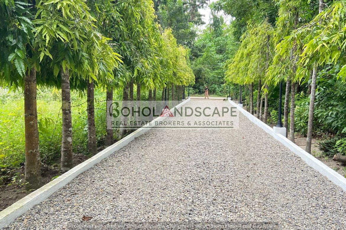 6 Bedroom Villa for Sale in Poblacion, Panglao, Bohol – photo 5