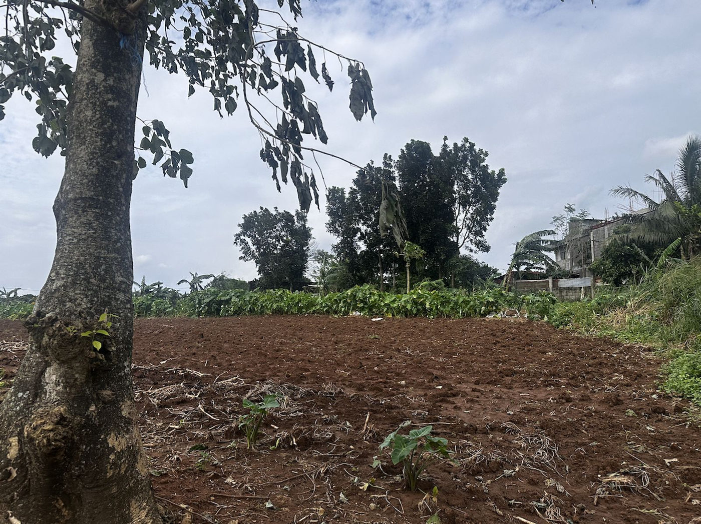 6-Hectare Highway-Frontage Property for Sale near Camp Capinpin, Sampaloc, Tanay – photo 3