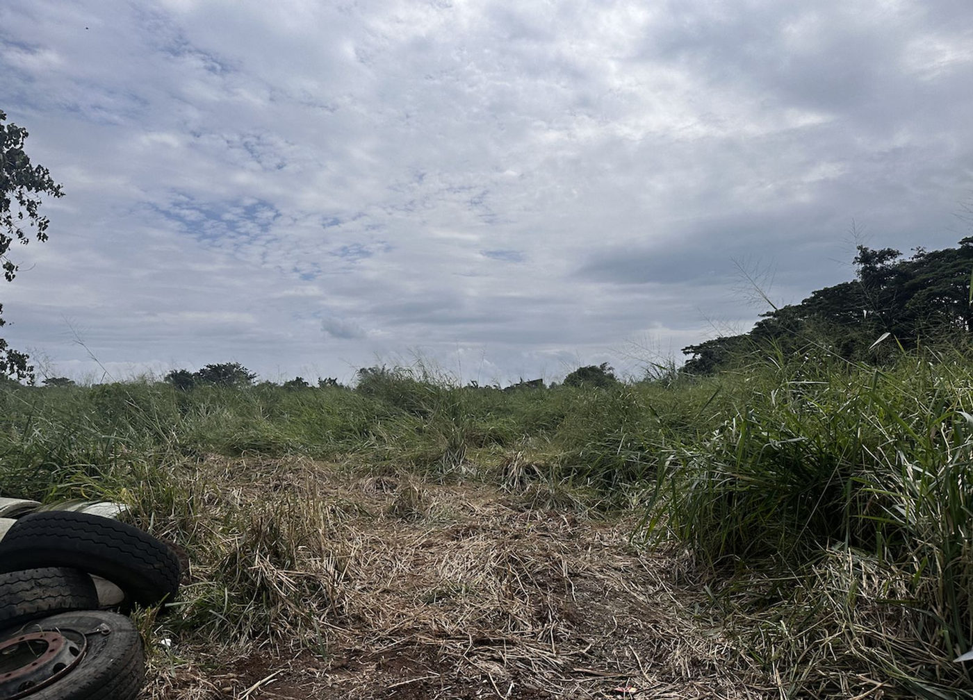 6-Hectare Highway-Frontage Property for Sale near Camp Capinpin, Sampaloc, Tanay – photo 6