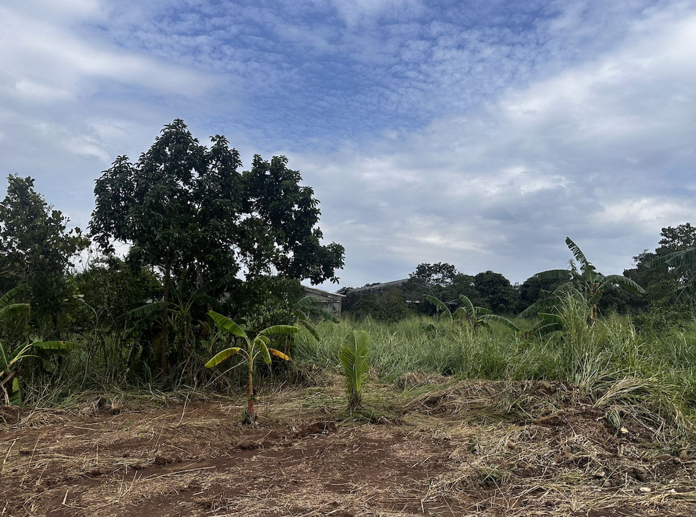 6-Hectare Highway-Frontage Property for Sale near Camp Capinpin, Sampaloc, Tanay – photo 7