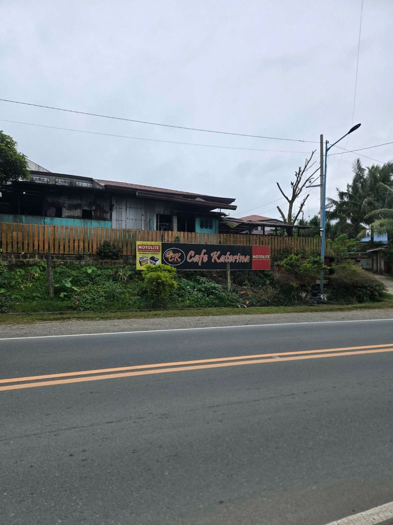 6.5-Hectare Farm Lot with Creek for Sale in Sampaloc, Tanay, Rizal – photo 4