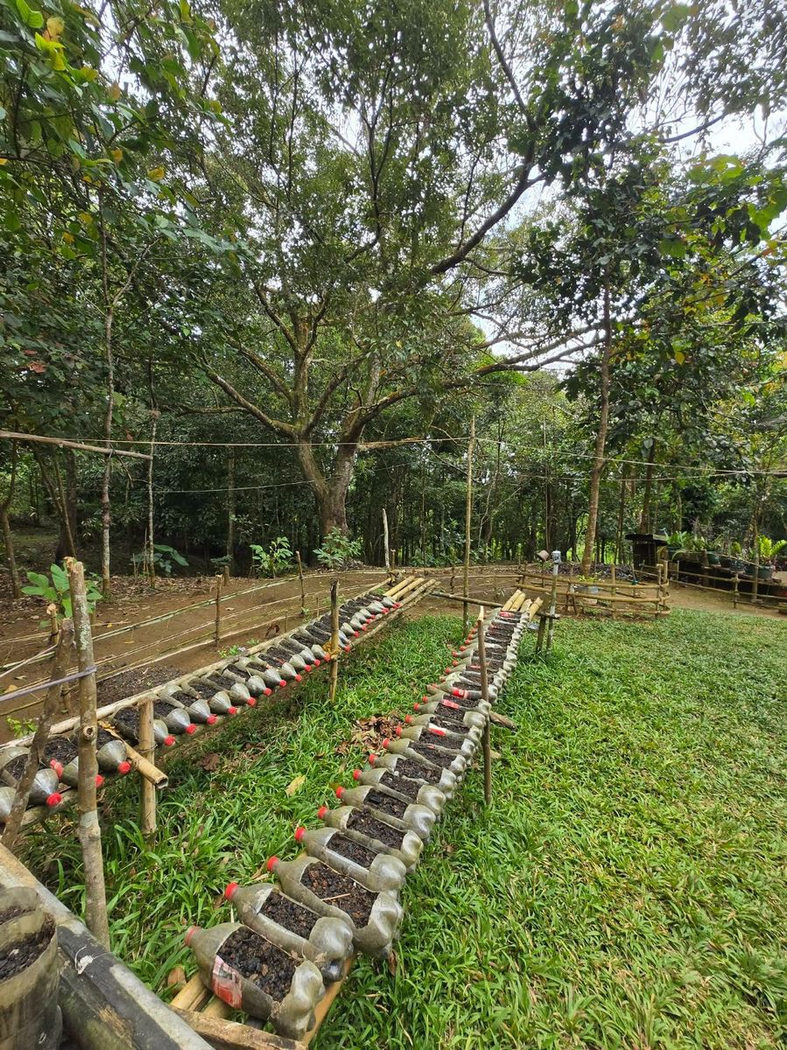 6.5-Hectare Farm Lot with Creek for Sale in Sampaloc, Tanay, Rizal – photo 6