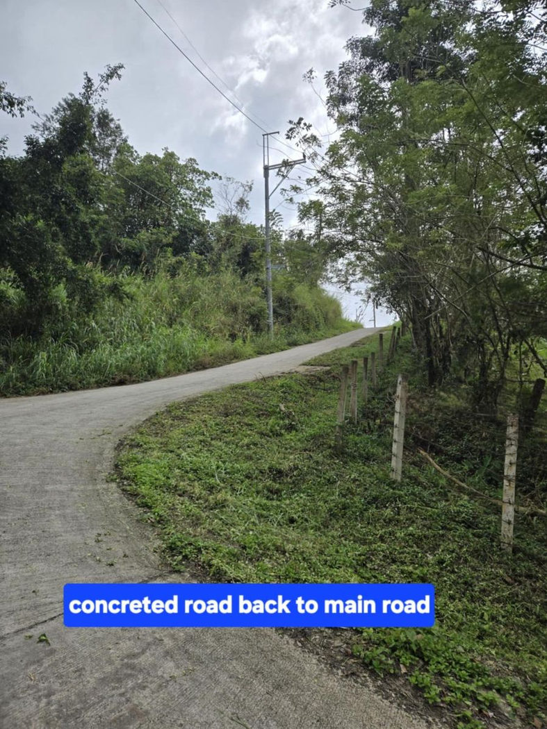 6.5-Hectare Farm Lot with Creek for Sale in Sampaloc, Tanay, Rizal – photo 9