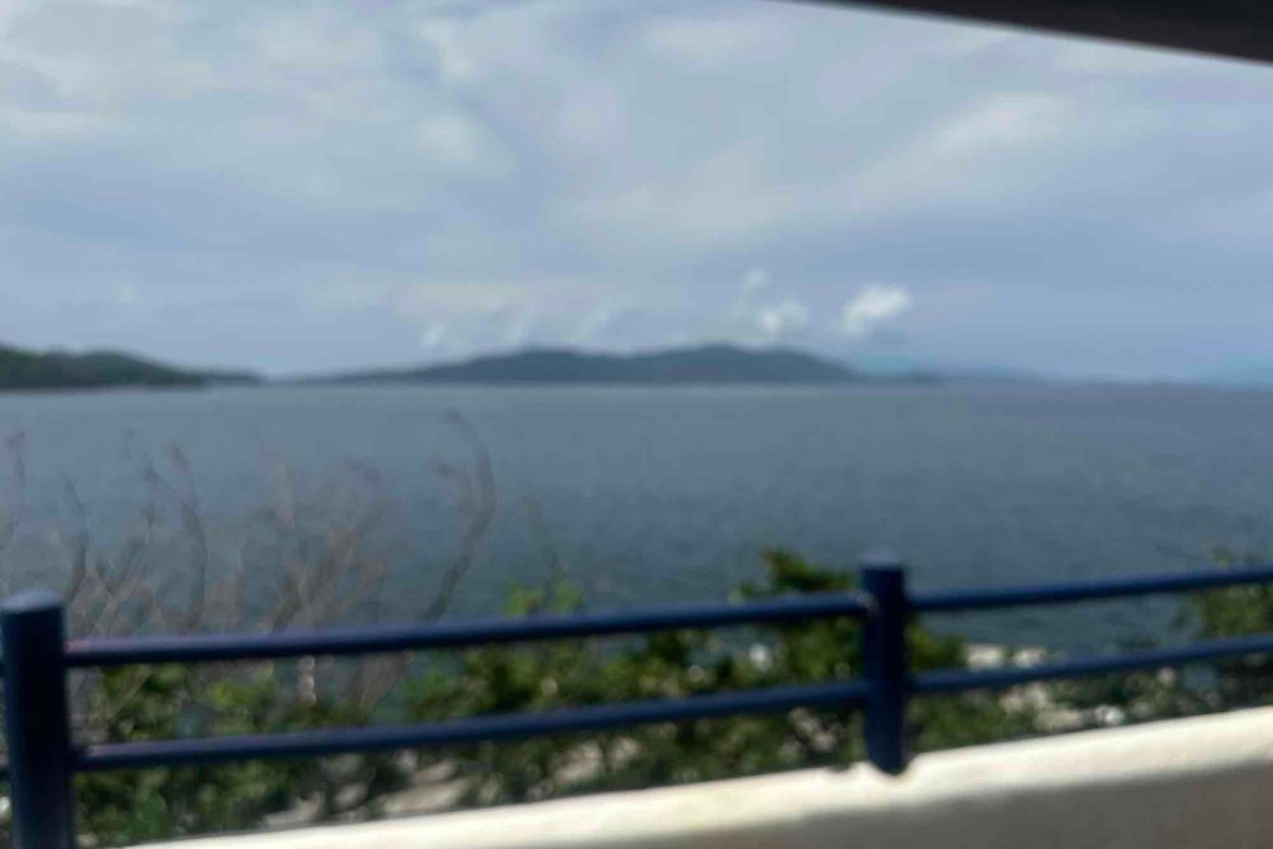 7 Bedroom House for Sale in Sinala, Bauan, Batangas – photo 5