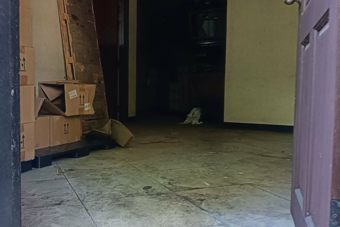 7 Bedroom Shophouse for Sale in Santa Mesa, Manila, Metro Manila near LRT-2 V. Mapa – photo 3