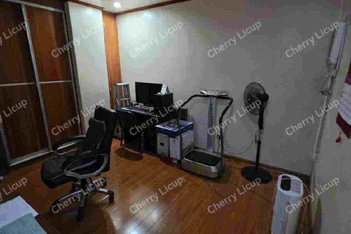 8 Bedroom Shophouse for Sale in Santa Cruz, Manila, Metro Manila near LRT-1 Tayuman – photo 4