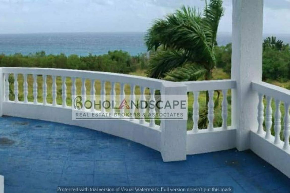 9 Bedroom House for Sale in Catarman, Dauis, Bohol – photo 8