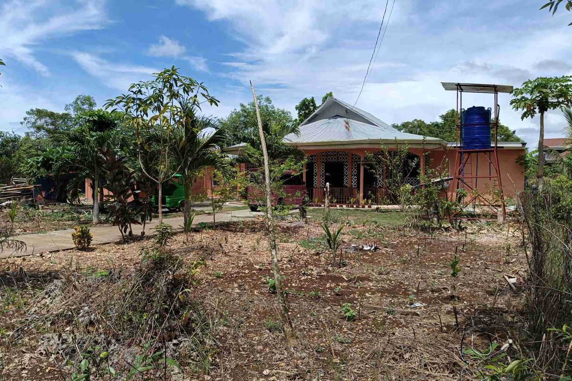 9 Bedroom House for Sale in Libaong, Panglao, Bohol – photo 5